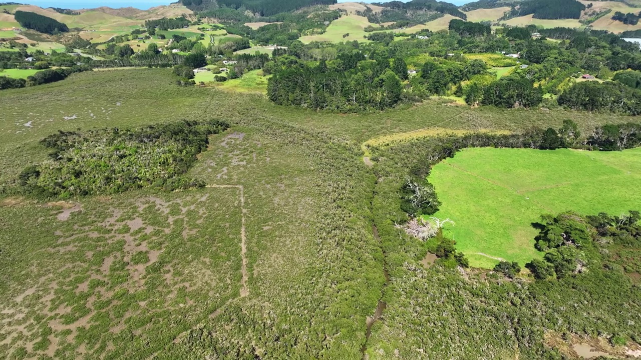 飞越新西兰的湿地视频下载