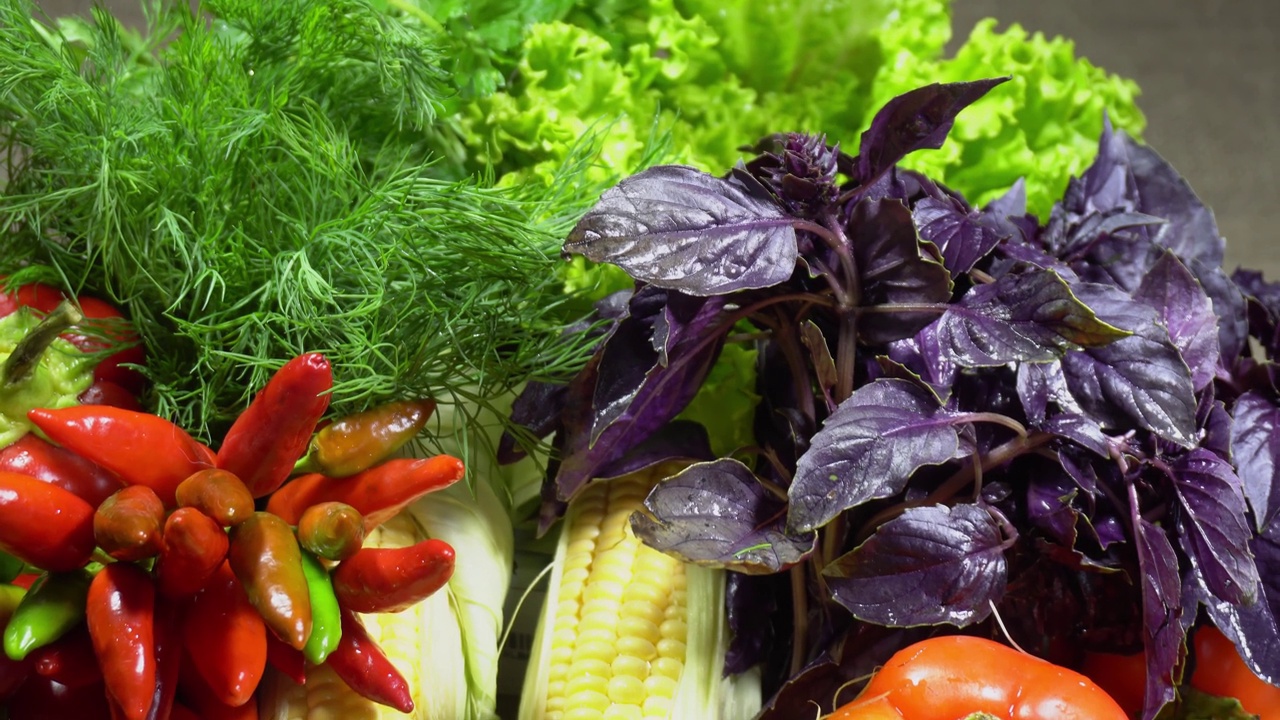 素食健康食品，蔬菜:黄瓜、番茄、辣椒等，微距摄影视频下载