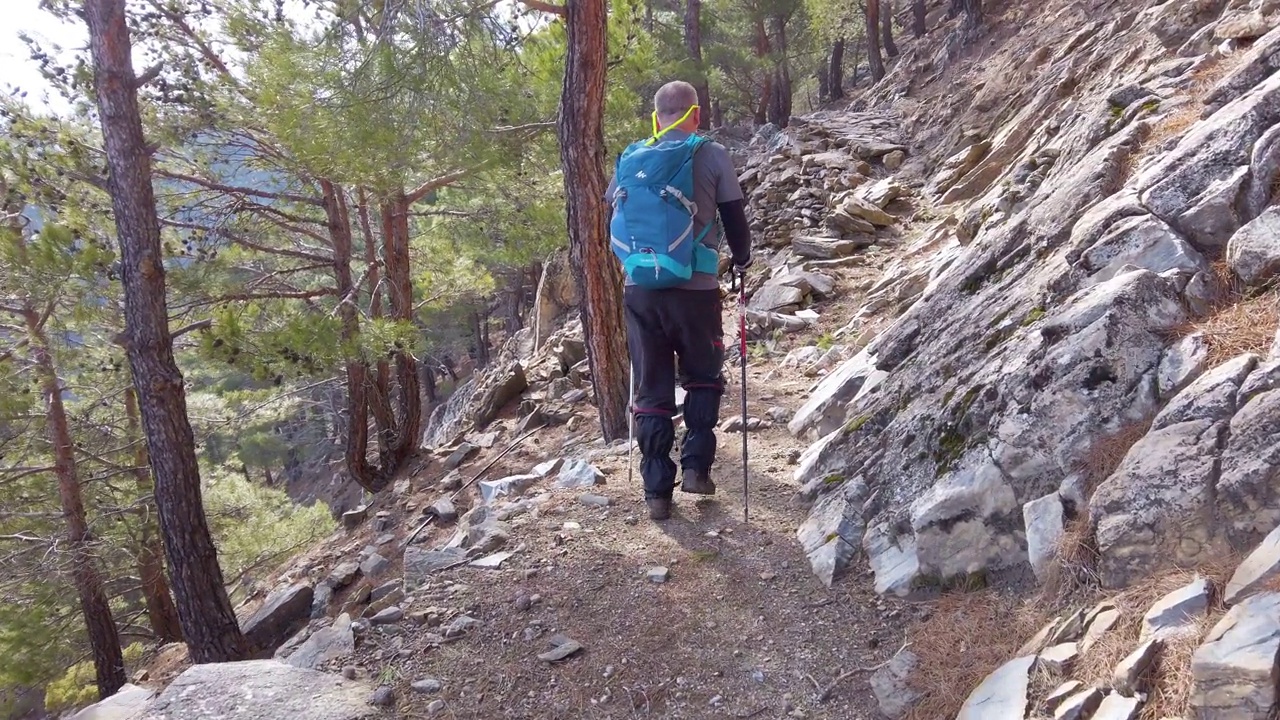 上了年纪的高山登山者正在森林里徒步旅行视频下载