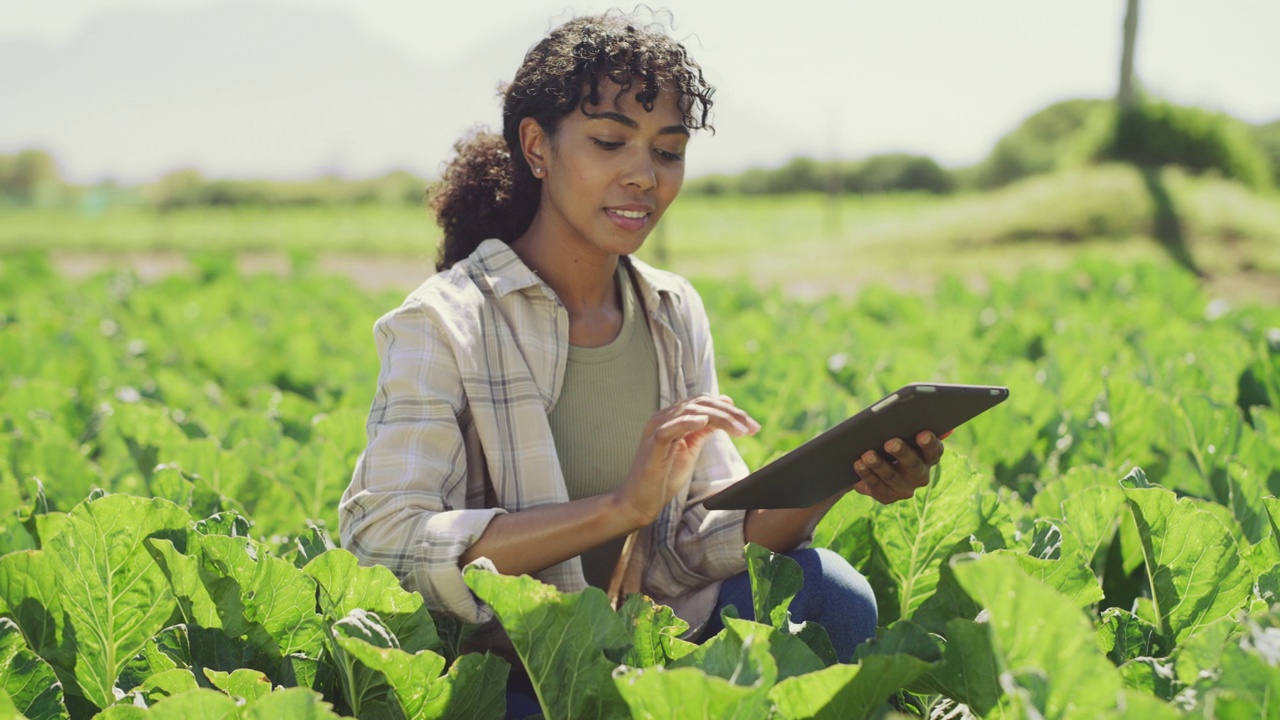 一名年轻女子使用数码平板电脑检查农场作物的4k视频片段视频下载