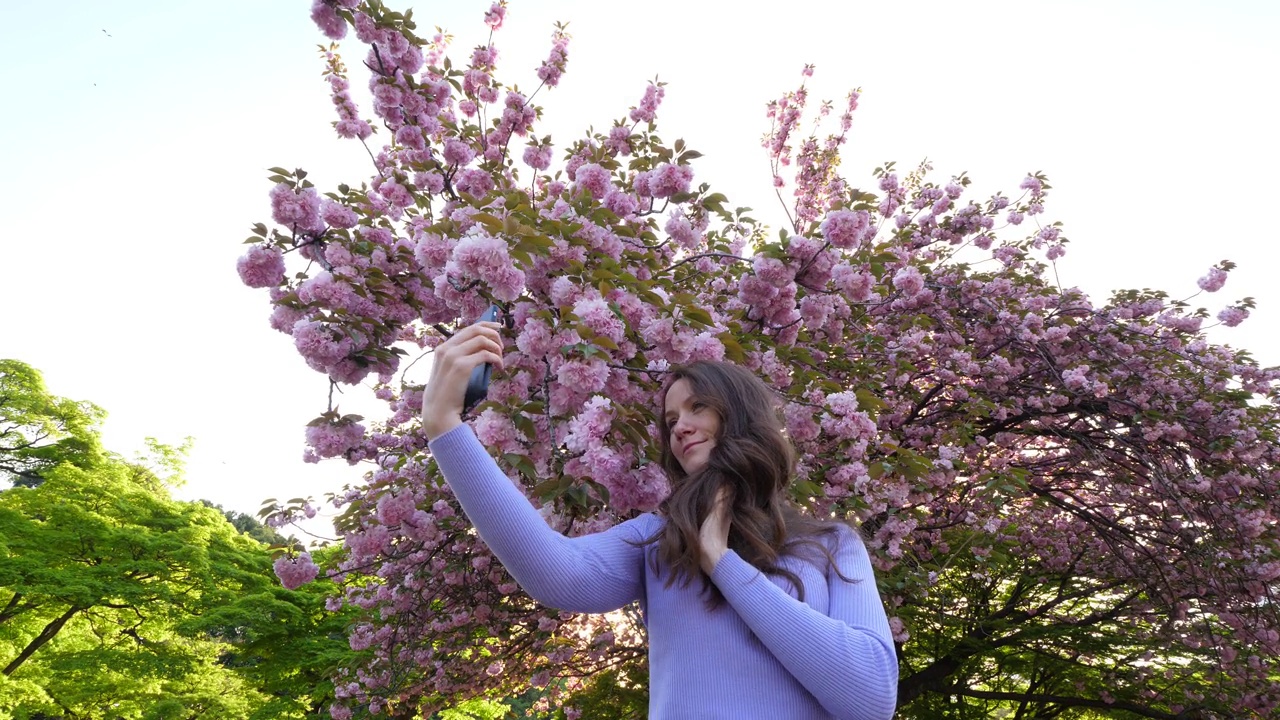 一名年轻女子在樱花盛开的日本樱花树前自拍视频下载