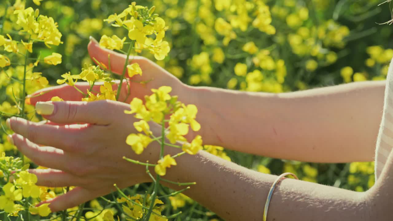一名女子在田野里抚摸花朵的4k视频片段视频素材