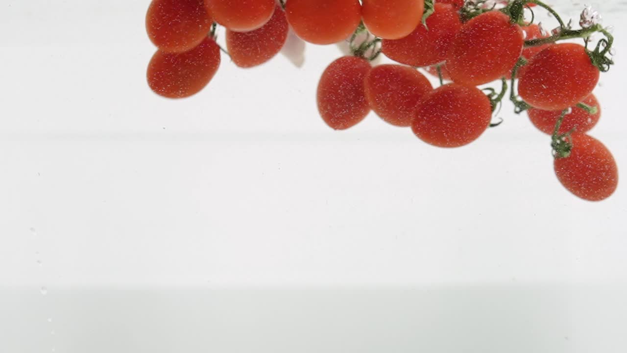 树枝上的小樱桃番茄视频下载