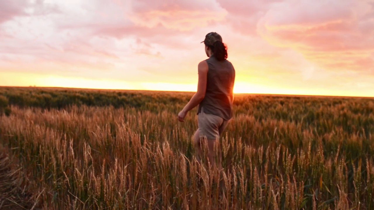 日落时分，一个农民穿过她农场的一片麦田视频素材