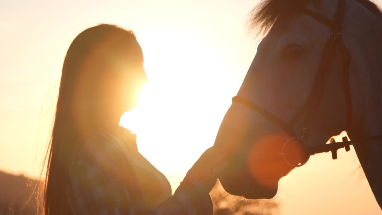 女牛仔亲吻一匹马视频下载