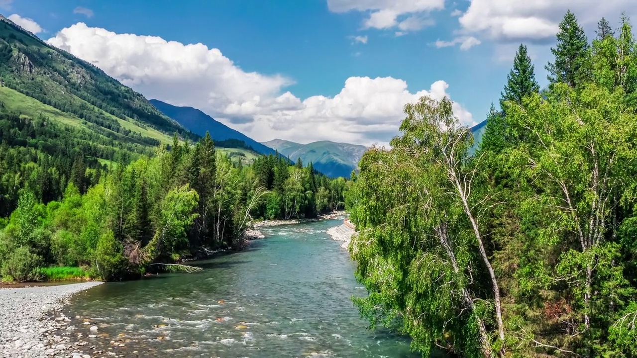航拍新疆的河流、绿色森林和山景视频素材