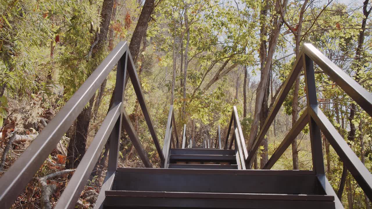 年轻的亚洲游客冒险旅行者徒步男子走楼梯爬上美丽的公园热带自然森林在夏天阳光灿烂的一天视频素材