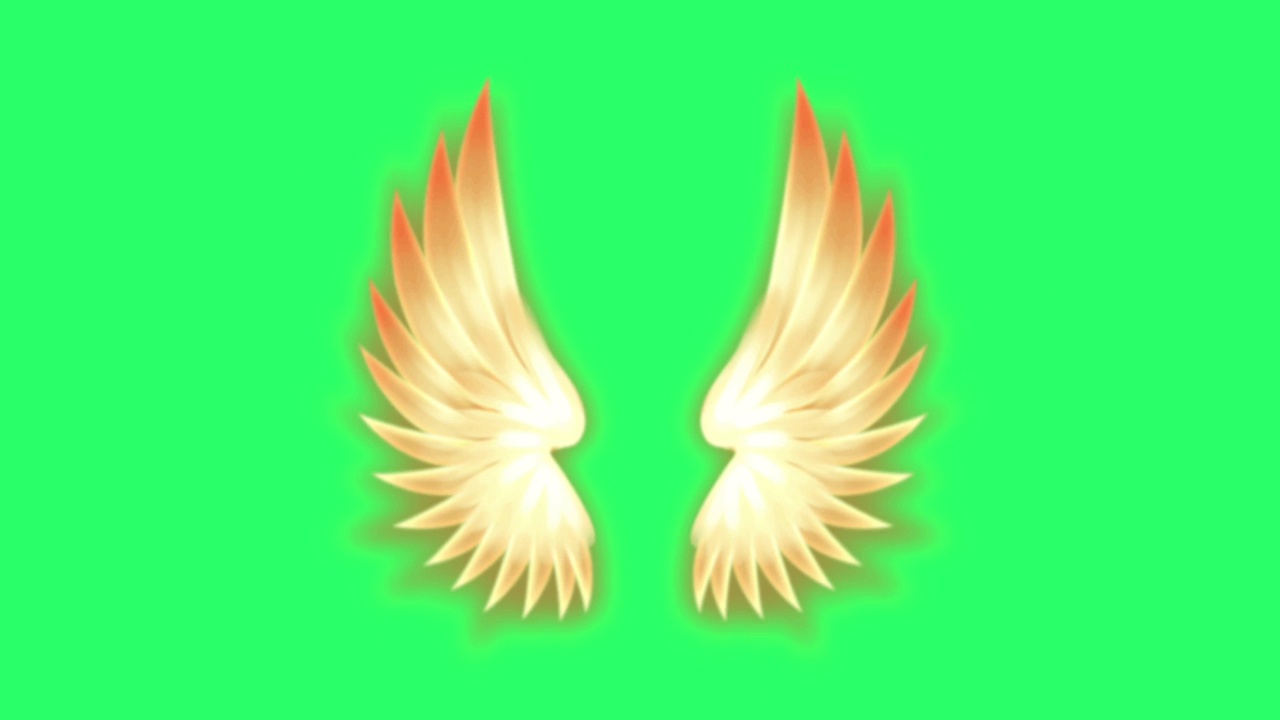 动画橙色翅膀孤立在绿色背景上。视频下载