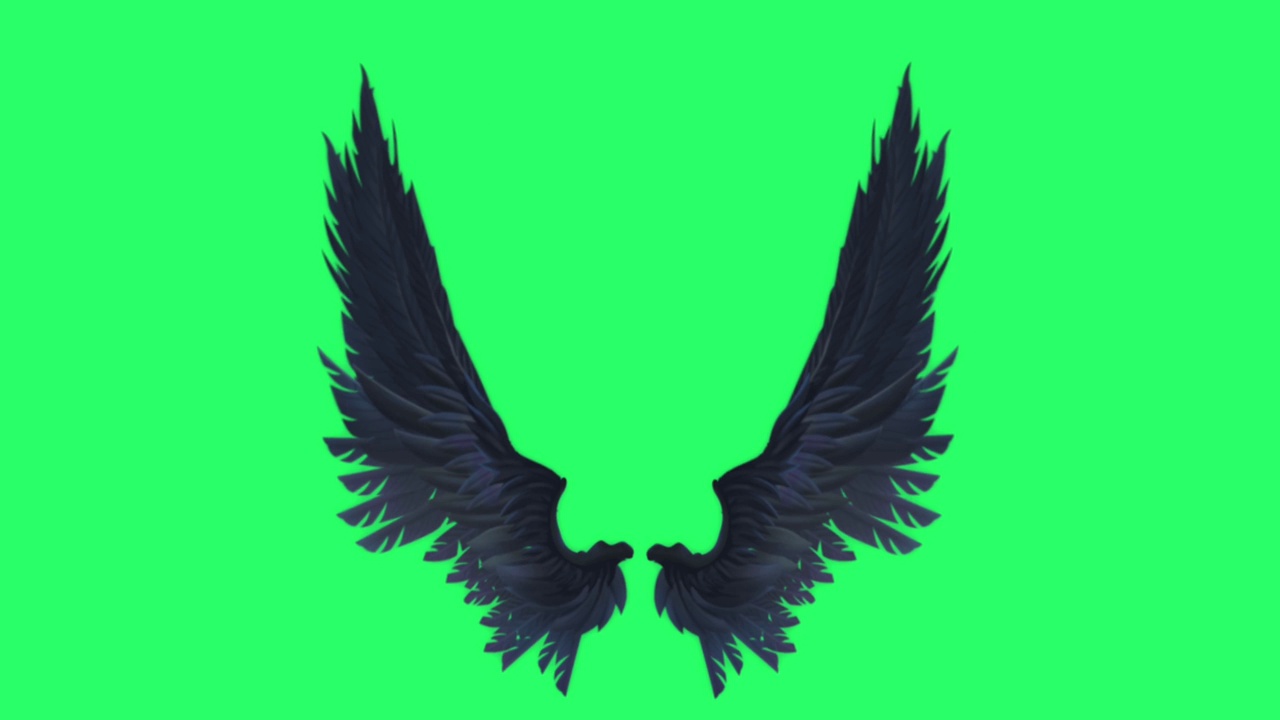 动画黑色翅膀孤立在绿色背景上。视频下载