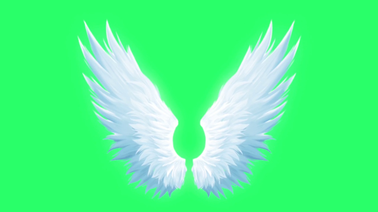 动画白色翅膀孤立在绿色背景上。视频素材