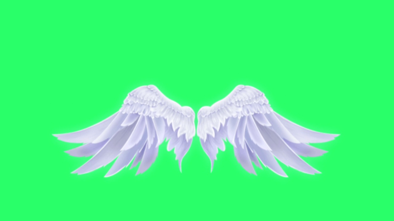 动画白色翅膀孤立在绿色背景上。视频素材