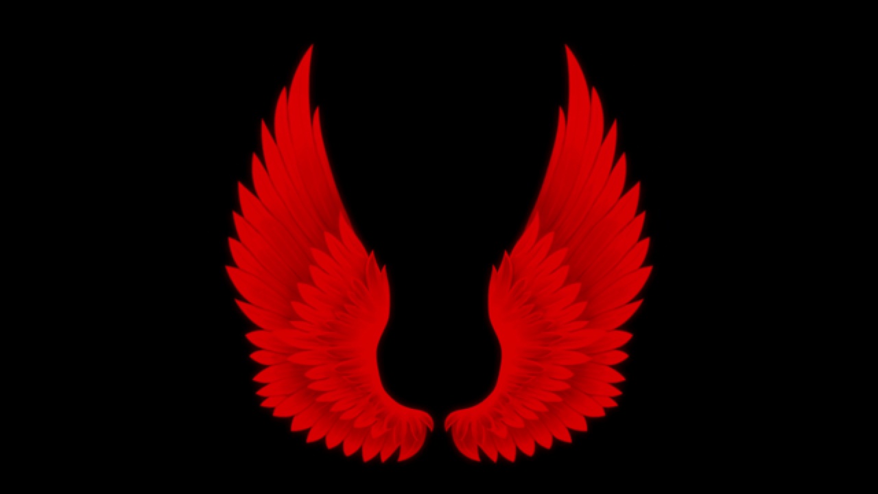 动画红色翅膀孤立在黑色背景上。视频下载