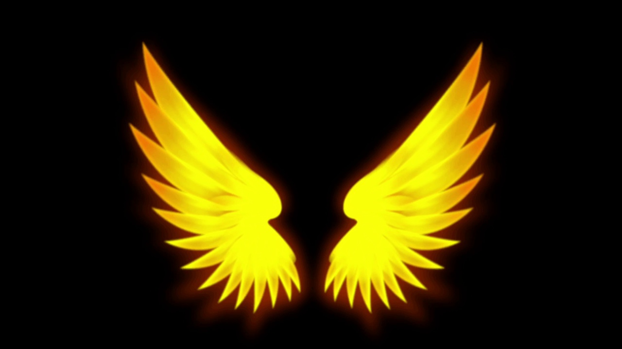 动画黄色翅膀孤立在黑色背景上。视频素材