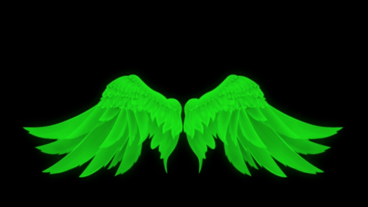 动画白色翅膀孤立在黑色背景上。视频素材
