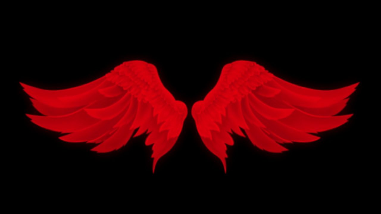 动画红色翅膀孤立在黑色背景上。视频素材