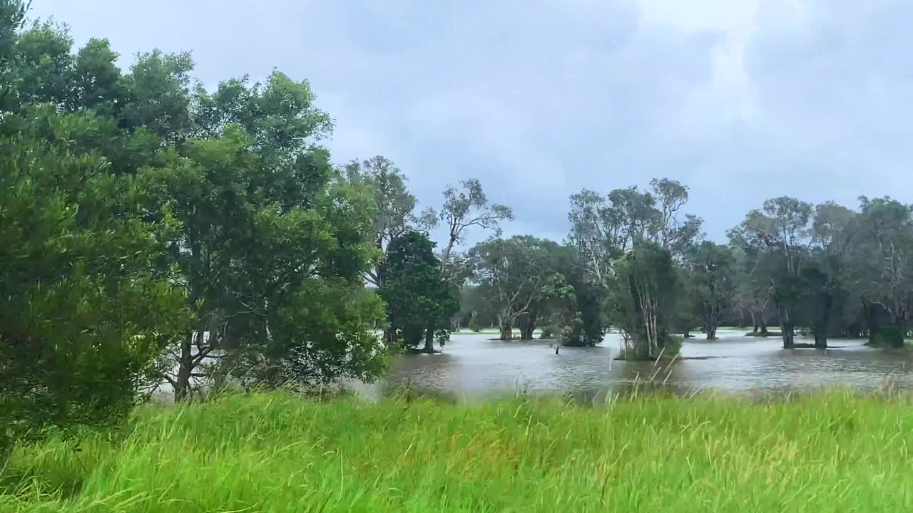风暴后洪泛平原视频素材