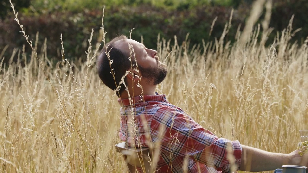 一个安详的男人在阳光明媚的夏日草地上放松视频下载