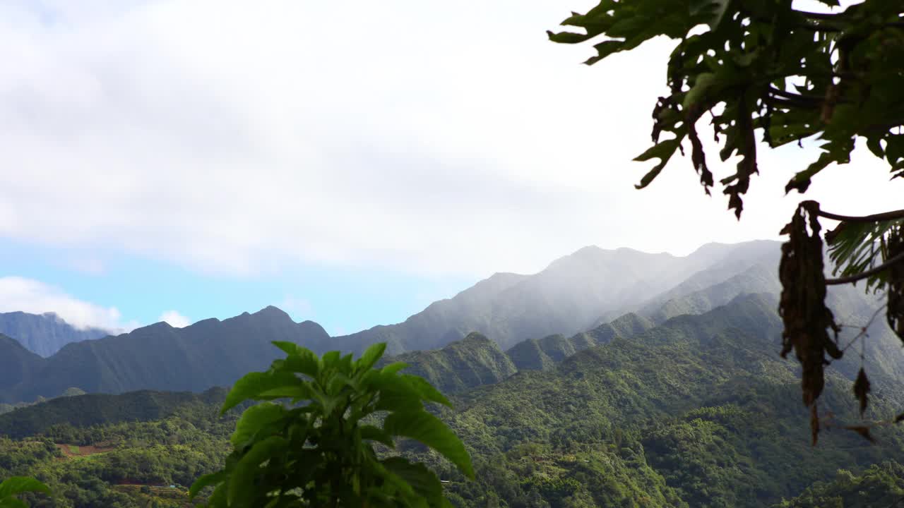 留尼旺岛森林时光流逝，美丽的火山岛鲜花盛开视频下载