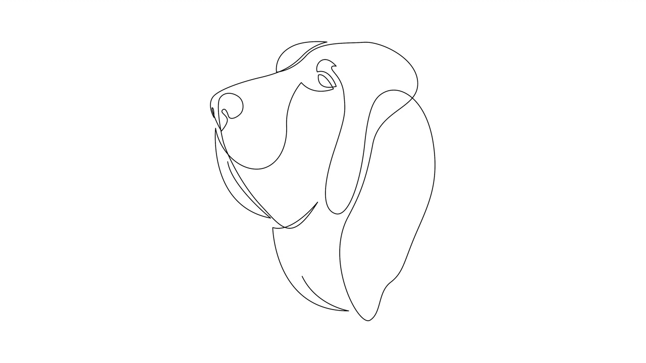 自画简单动画单连续单线画侦探犬。狗的头手绘，黑色线条在白色的背景上。野生动物，宠物，兽医的概念视频下载