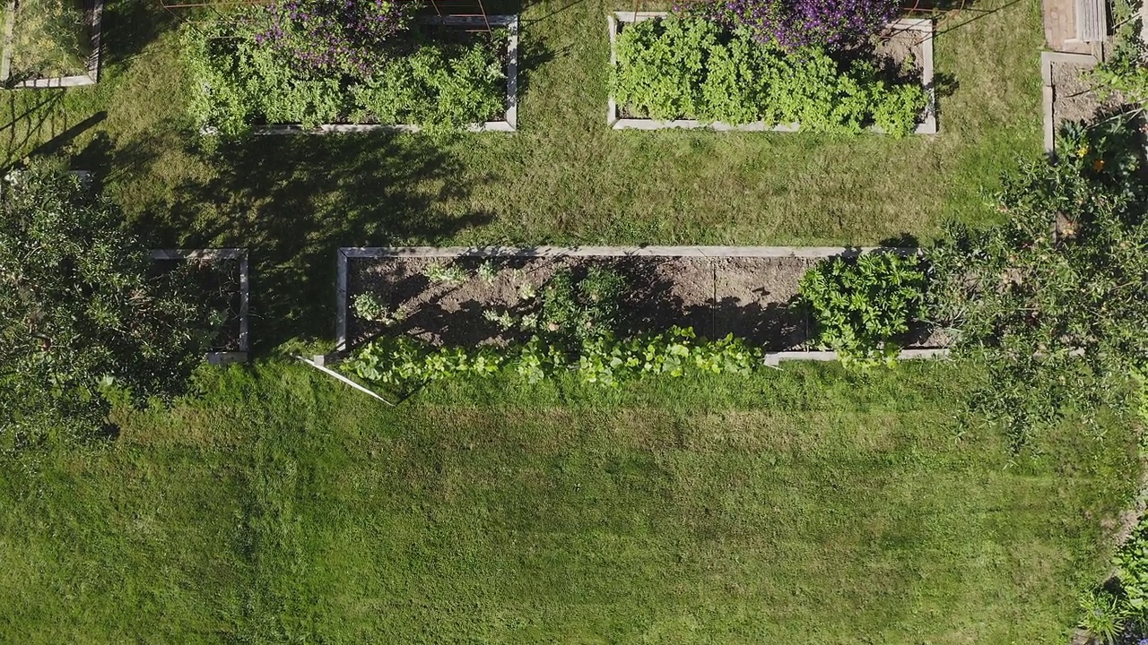 无人机视角阳光茂盛的夏季小屋花园与提高的床视频下载