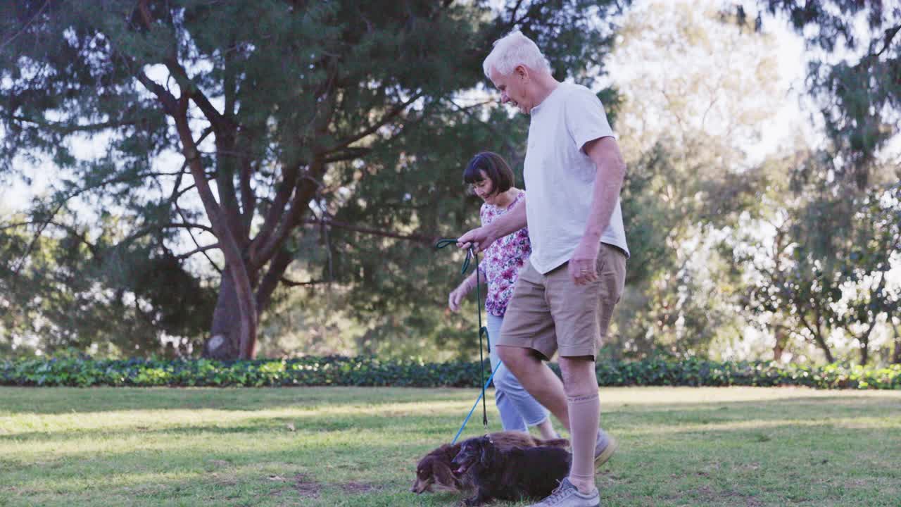 老年已婚退休夫妇在公园遛狗视频下载