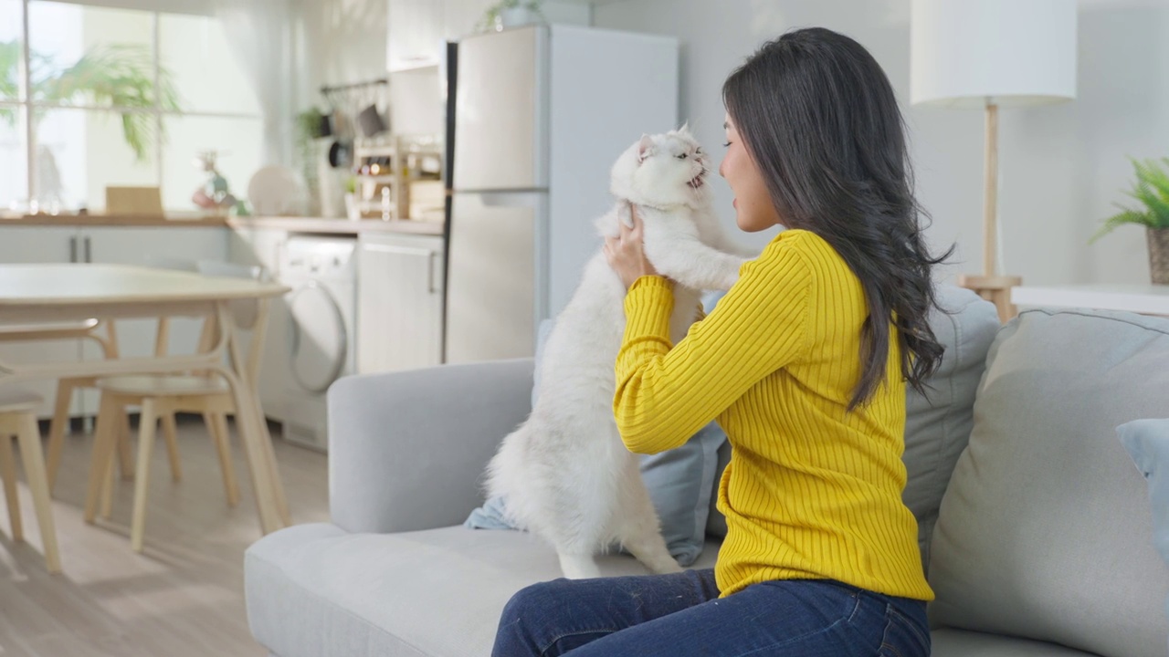 亚洲女人抱着小猫在家里玩得很开心。有魅力的美女坐在沙发上，在客厅里悠闲地抚摸着她的宠物。视频素材