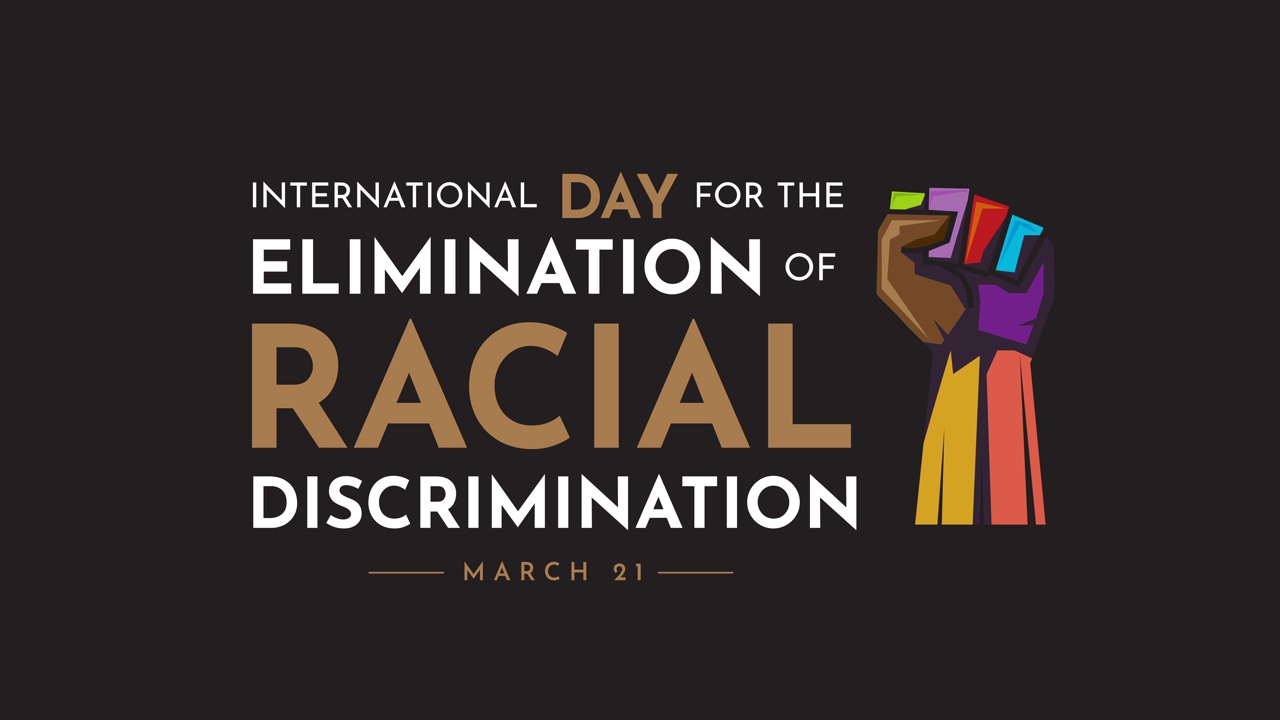 消除种族歧视国际日，3月21日，动画视频下载