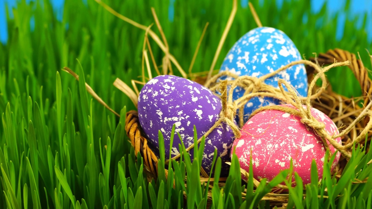 草地上五颜六色的复活节彩蛋视频下载