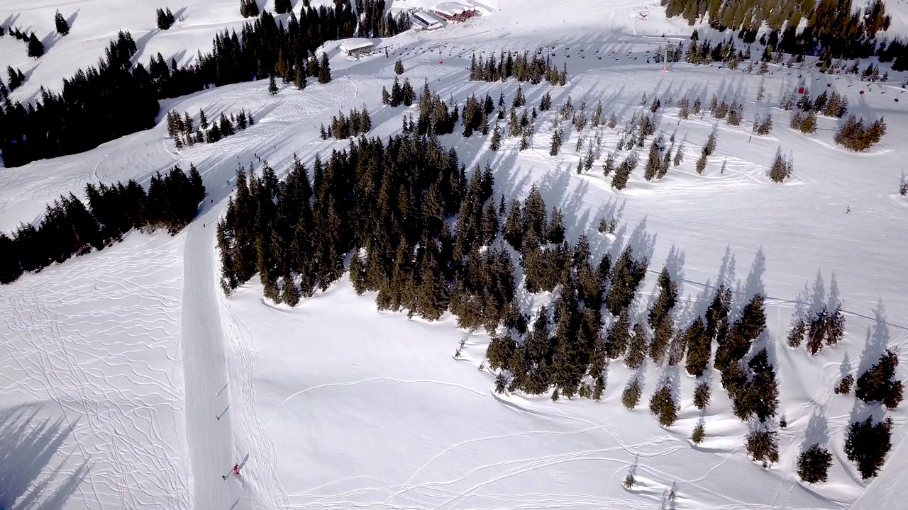 滑雪胜地的鸟瞰图，人们从山上滑雪。资料片。在冬季，在被茂密的森林包围的白雪上，在滑雪或滑雪板上飞行，旅行和运动视频素材