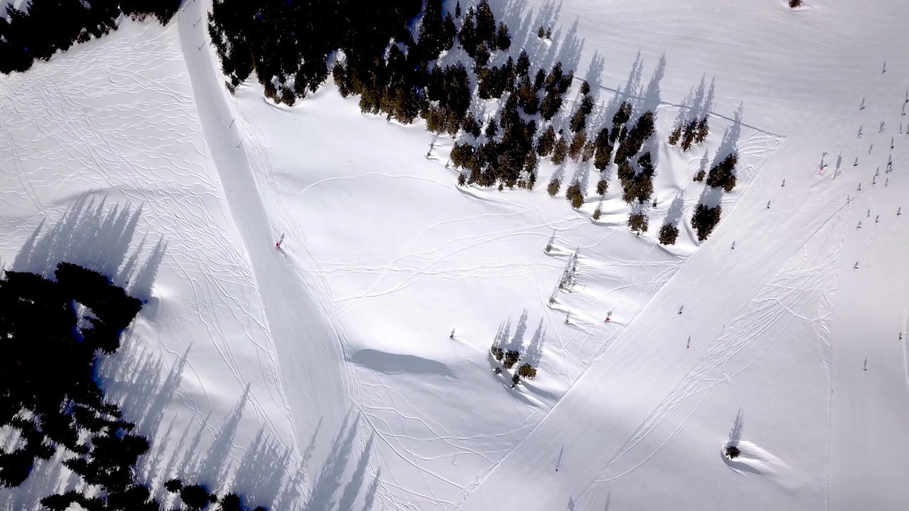 滑雪胜地的鸟瞰图，人们从山上滑雪。资料片。在冬季，在被茂密的森林包围的白雪上，在滑雪或滑雪板上飞行，旅行和运动视频素材