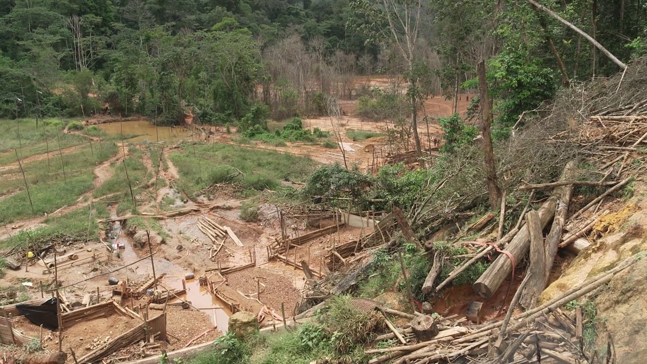 法国，法属圭亚那，多林淘金现场与矿工一起活动，在亚马逊森林。视频下载