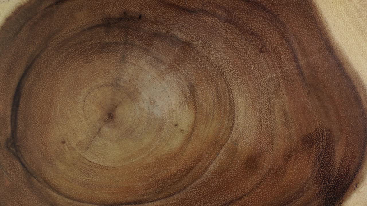 年轮和纹理的老树横切的树干。木树节或树桩的背景和设计。厨房用具台面或室内设计表面。林业产业。视频素材