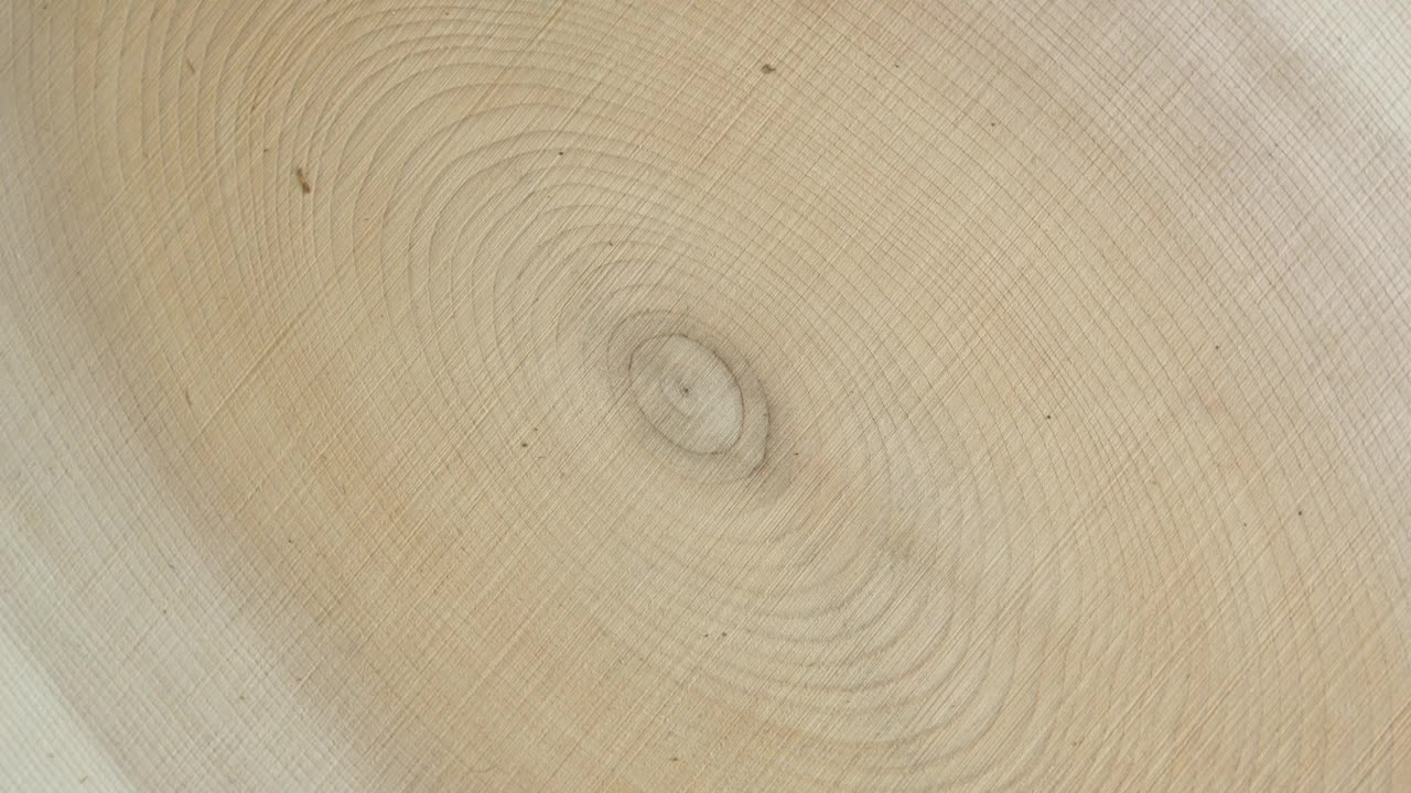 木圆形树桩树干背景从顶部。锯横截面砍树木材旋转。视频下载