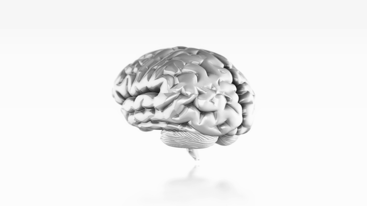 白色背景上的人脑金属纹理视频下载