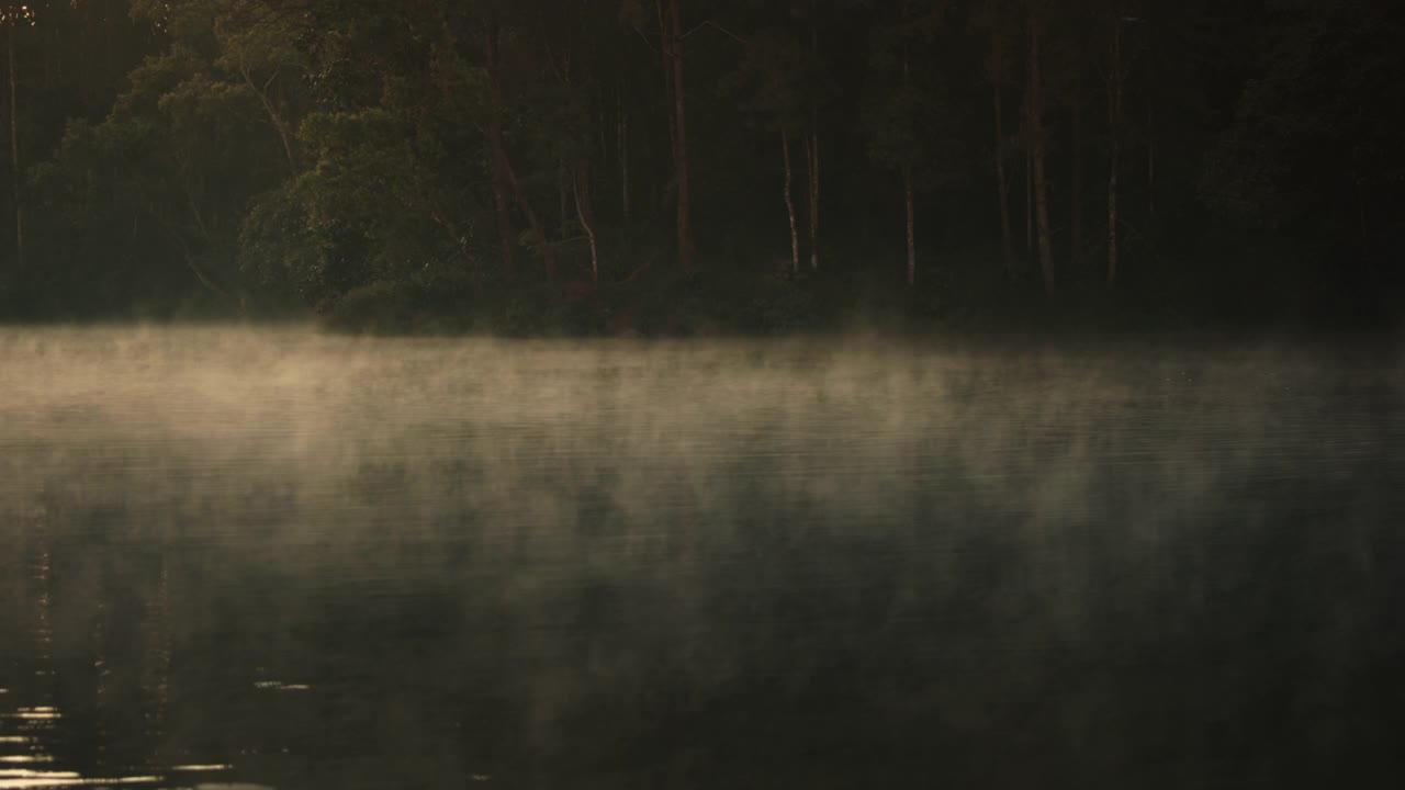晨光透过松林照到水面，在庞雄林，湄洪森省，没有人视频下载
