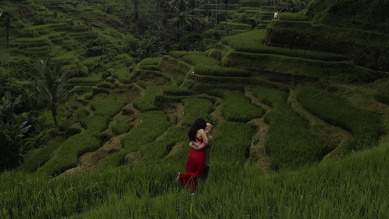 一对情侣站在巴厘岛奇妙的稻田上热吻视频下载