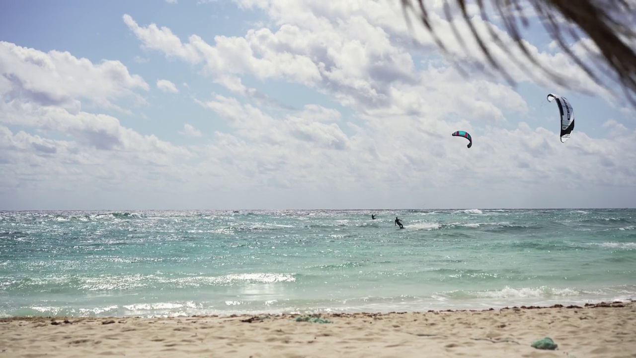 加勒比海男子和女子风筝冲浪视频素材