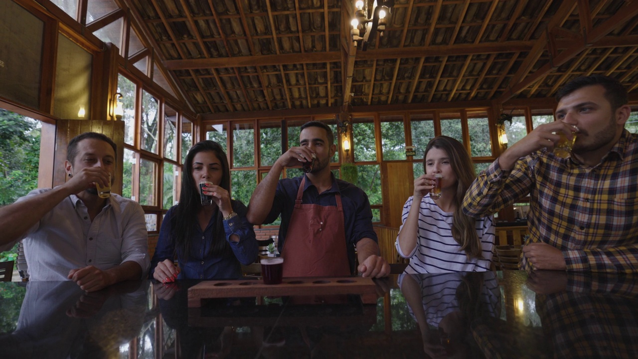 一群朋友和酿酒师在手工啤酒厂的啤酒之旅后喝酒视频下载