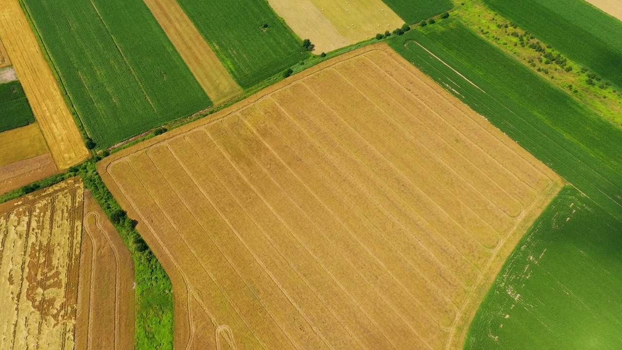 不同作物的垂直条状农田。鸟瞰图拍摄从无人机直接上方的领域视频素材