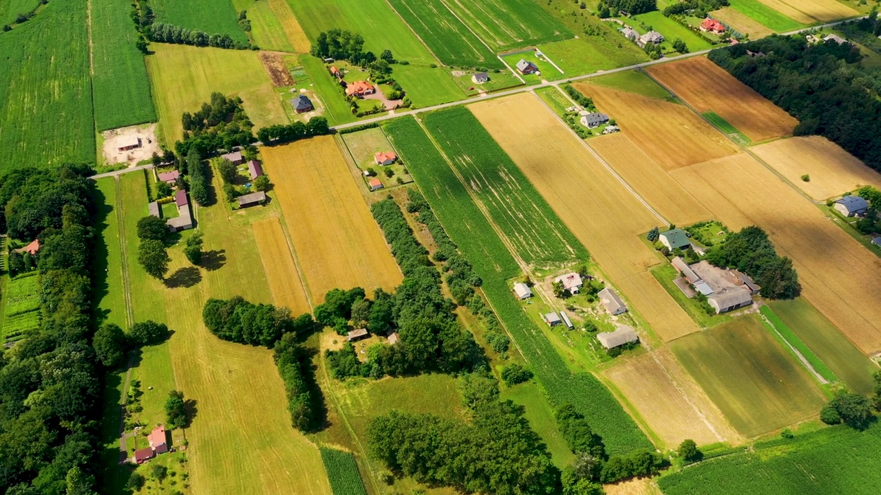 不同作物的垂直条状农田。鸟瞰图拍摄从无人机直接上方的领域视频素材
