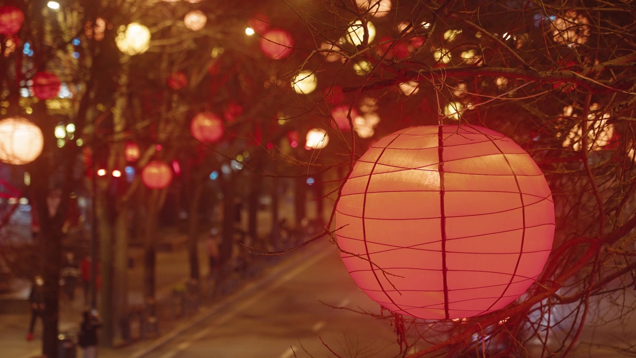 庆祝中国春节的灯展视频素材