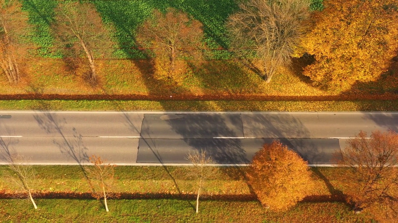 鸟瞰图的道路在美丽的秋天森林日落在农村。美丽的风景，乡村道路和树木的五颜六色的叶子。视频素材