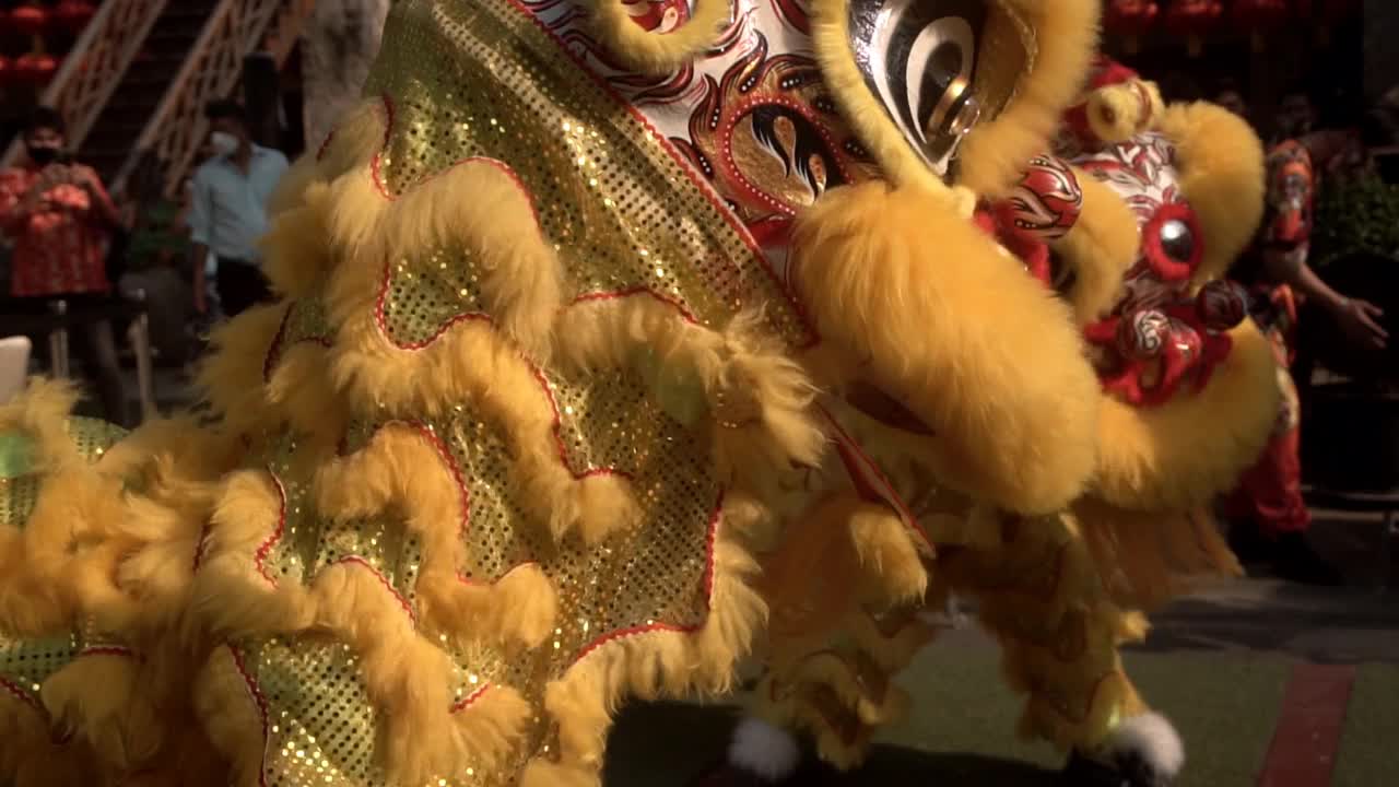 中国舞狮表演，农历新年喜庆。视频下载