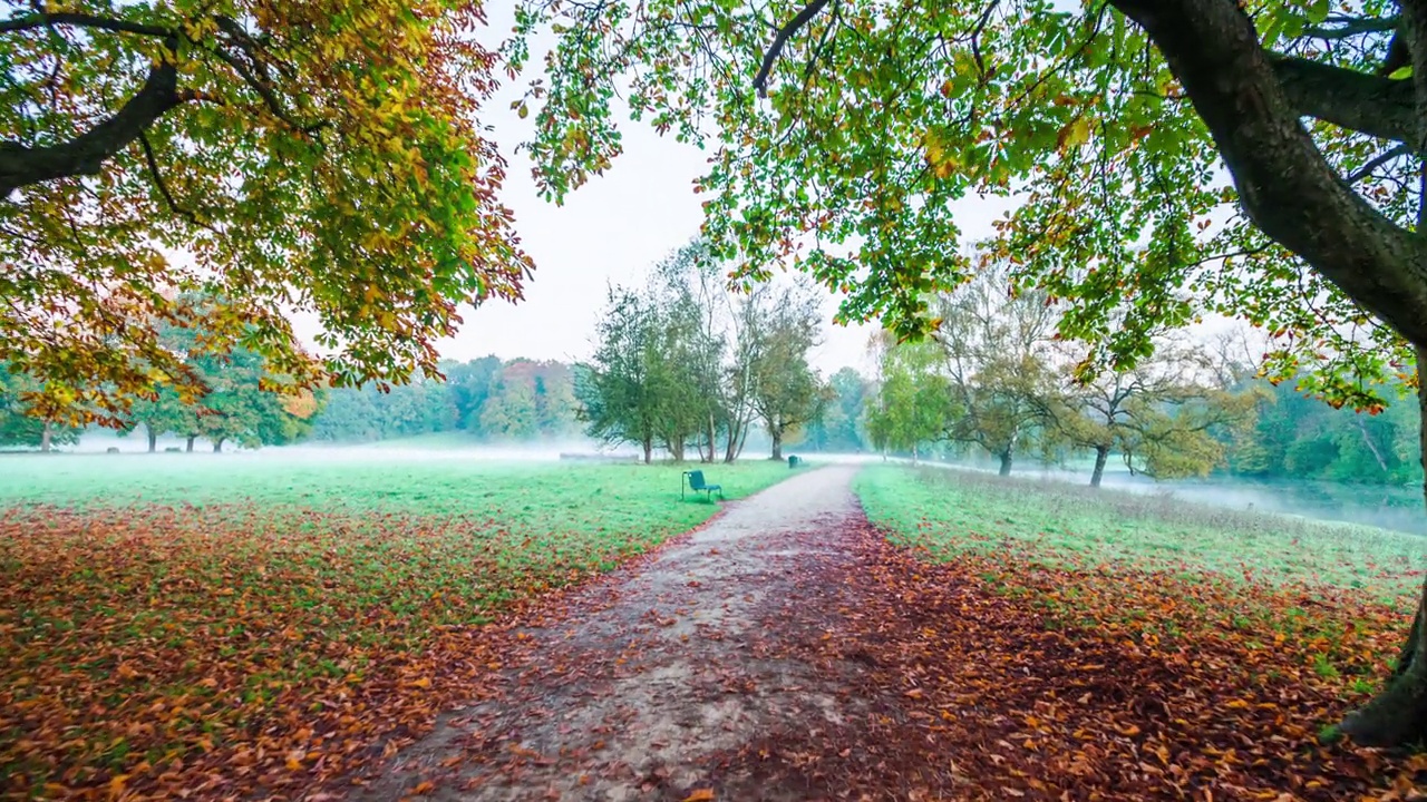 田园诗般的公园在科隆在秋天-跟踪拍摄视频素材
