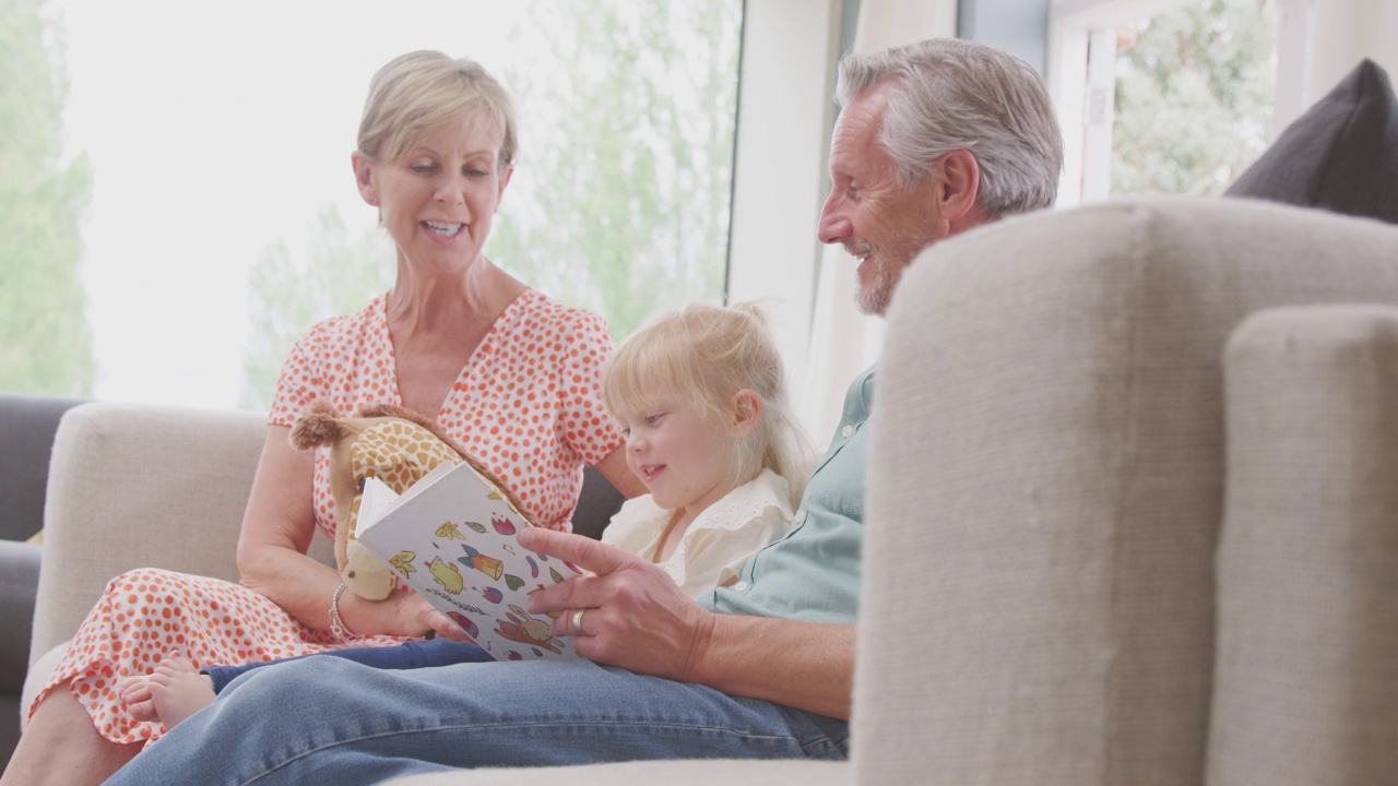 祖父母和孙女坐在沙发上一起看书视频素材