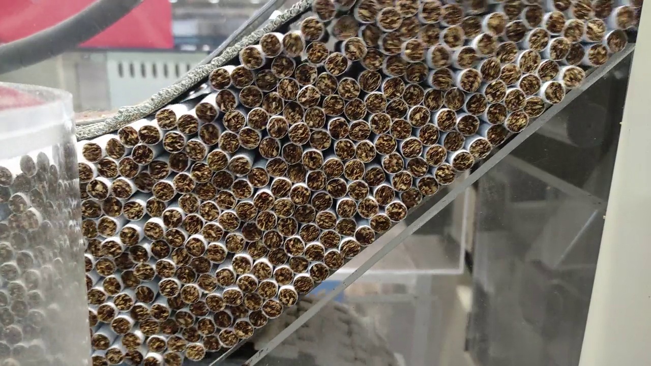 一群一群的香烟正从香烟制造商的传送带上涌出来视频下载