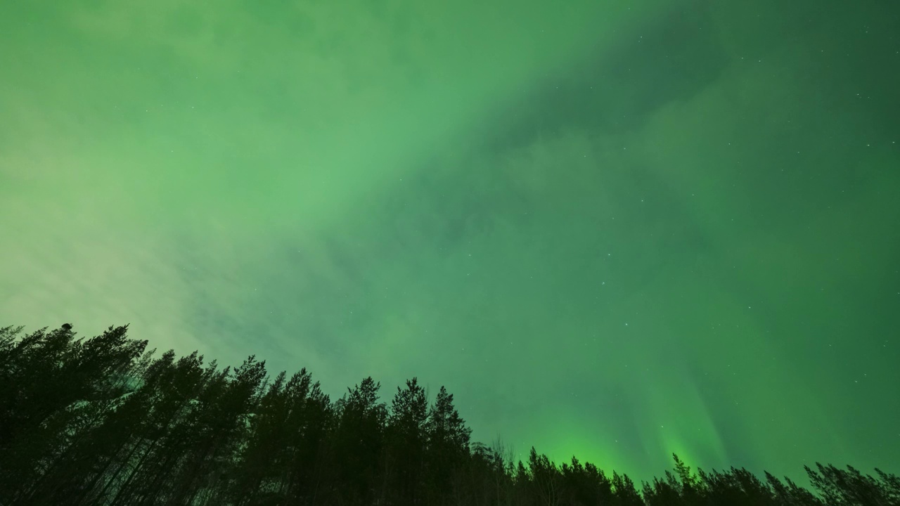 森林上空的绿色北极光。俄罗斯。时间流逝视频素材