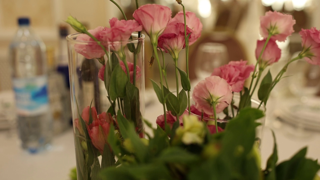 餐厅桌上花瓶里的玫瑰视频素材