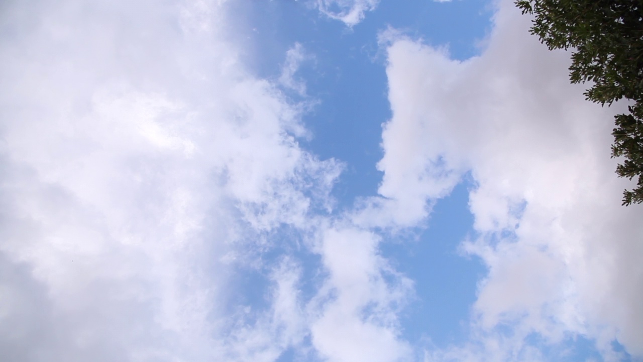 蓝色的天空，轻轻移动的白云，还有角落里的绿叶视频下载