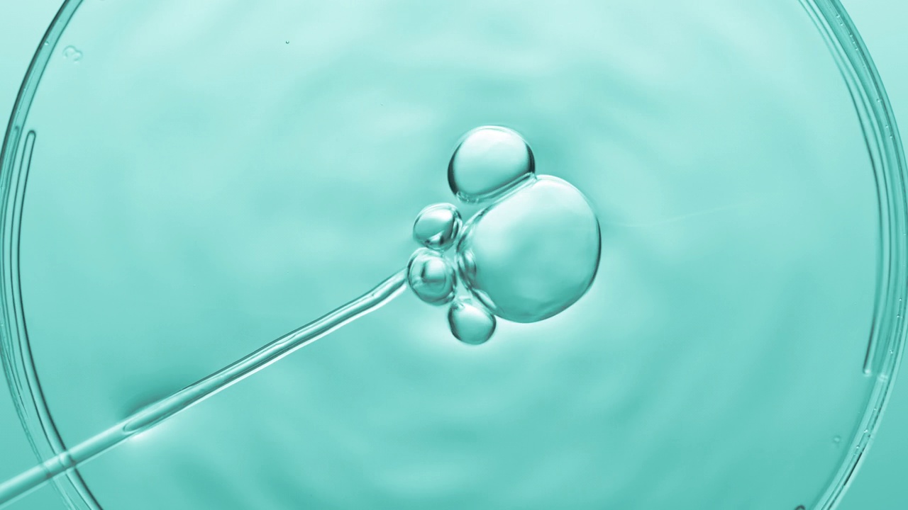 气泡从滴管中出来，漂浮在培养皿中的液体上视频下载